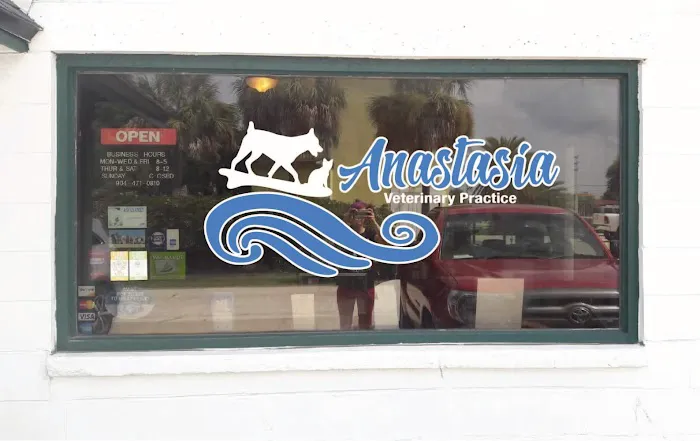 Anastasia Veterinary Practice 2