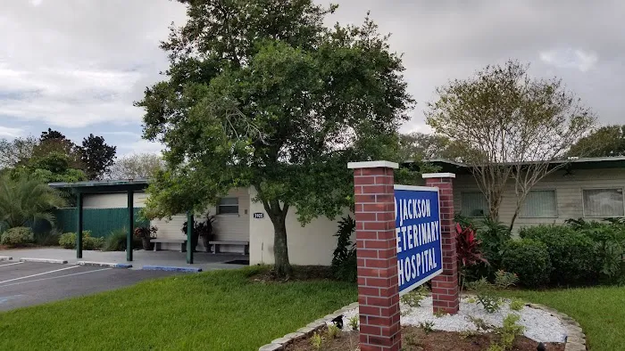 Jackson Veterinary Hospital 12