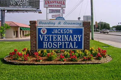 Jackson Veterinary Hospital 12