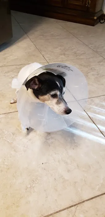 Jackson Veterinary Hospital 12
