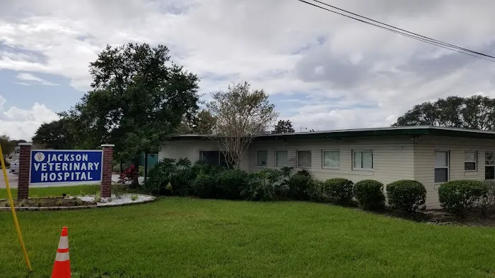 Jackson Veterinary Hospital 12