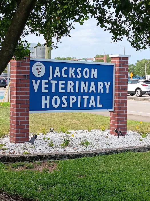 Jackson Veterinary Hospital 12