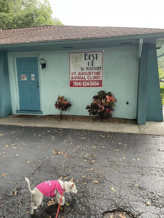 St. Augustine Animal Clinic 12