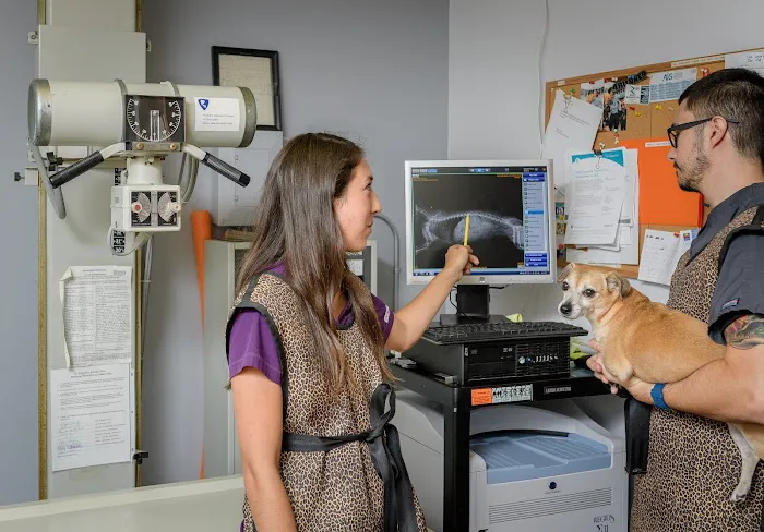 St. Augustine Animal Clinic 12
