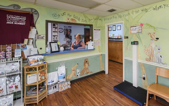 St. Augustine Animal Clinic 12