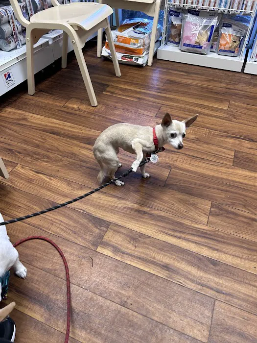 St. Augustine Animal Clinic 12