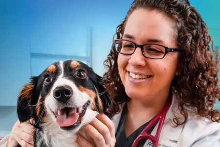 NewDay Veterinary Care
