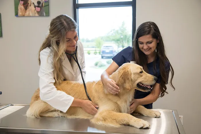 NewDay Veterinary Care 4