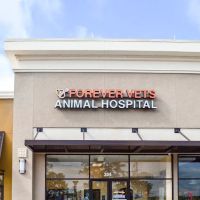 Forever Vets Animal Hospital of Murabella Parkway ico
