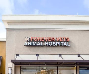 Forever Vets Animal Hospital of Murabella Parkway