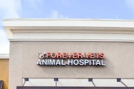 Forever Vets Animal Hospital of Murabella Parkway