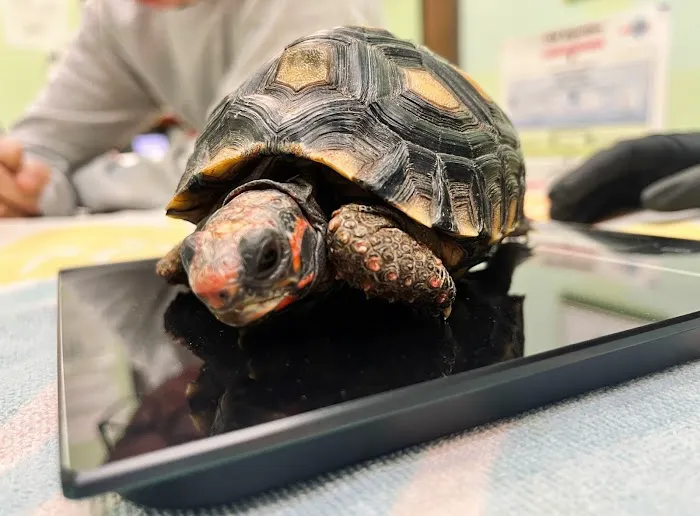 Forever Vets Animal Hospital of Murabella Parkway 2