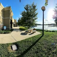 Driftwood Veterinary Hospital ico