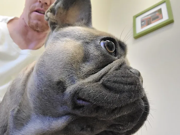 Driftwood Veterinary Hospital 12
