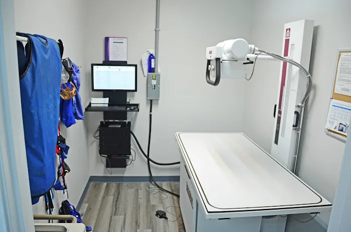 MuraBella Animal Hospital 12