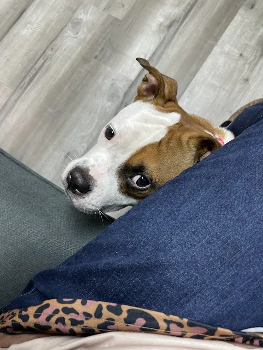 MuraBella Animal Hospital 12