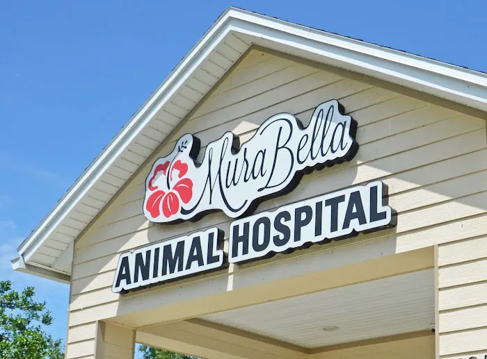 MuraBella Animal Hospital 12