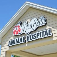 MuraBella Animal Hospital ico