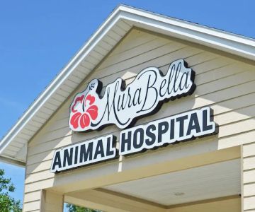 MuraBella Animal Hospital
