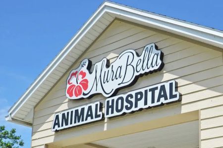 MuraBella Animal Hospital
