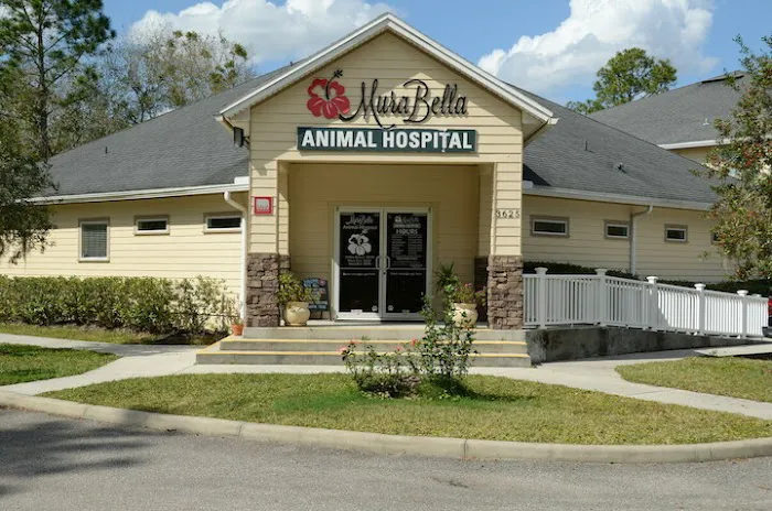 MuraBella Animal Hospital 12