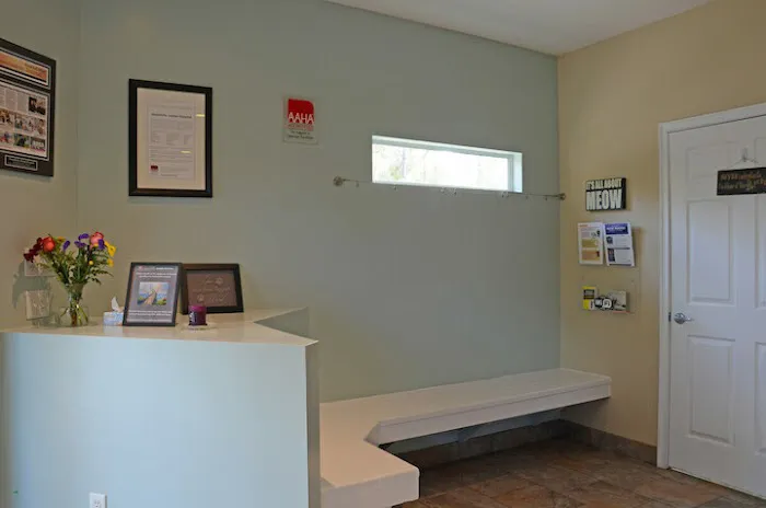 MuraBella Animal Hospital 12