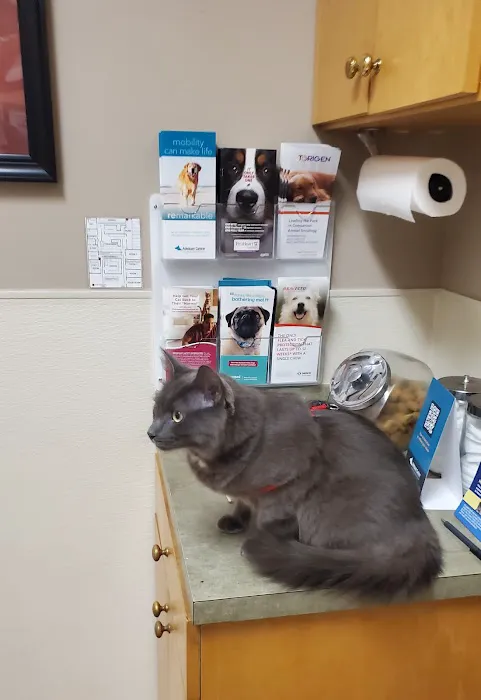 Animal Medical Clinic 7