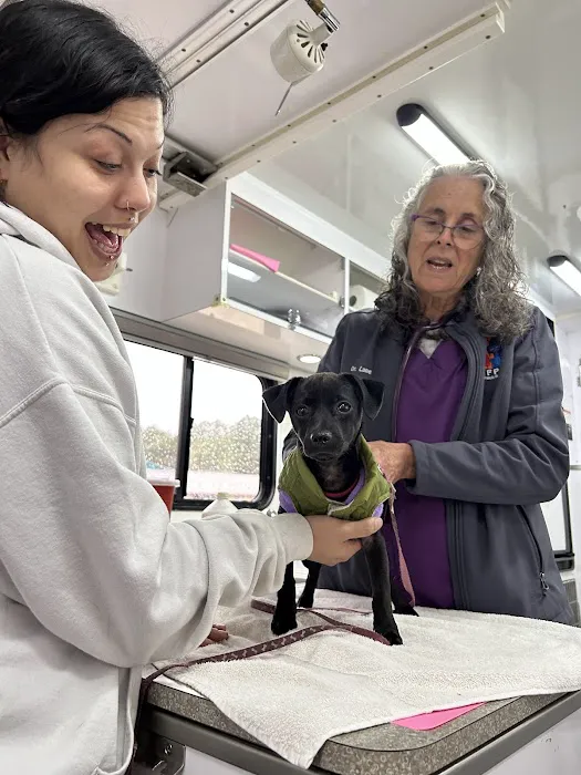 St Francis Vet Care 6