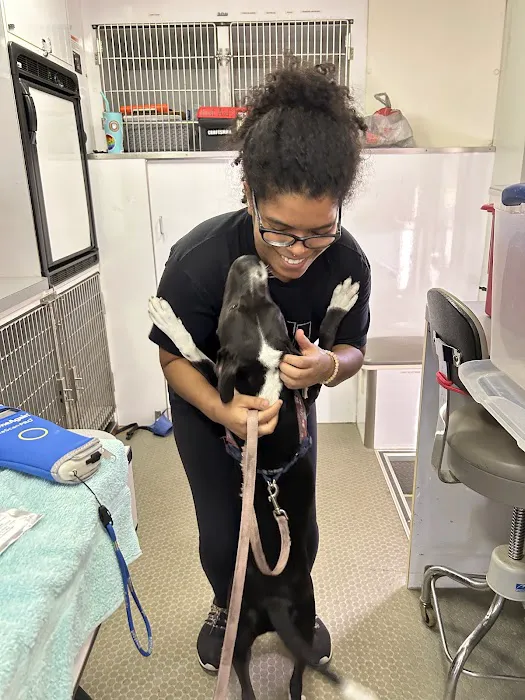 St Francis Vet Care 2