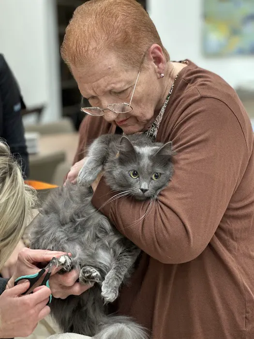 St Francis Vet Care 7