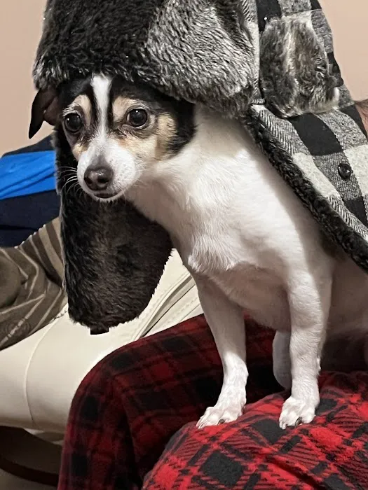 Vetco Total Care Animal Hospital 12
