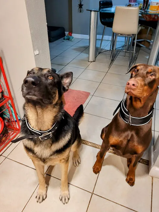 Vetco Total Care Animal Hospital 12