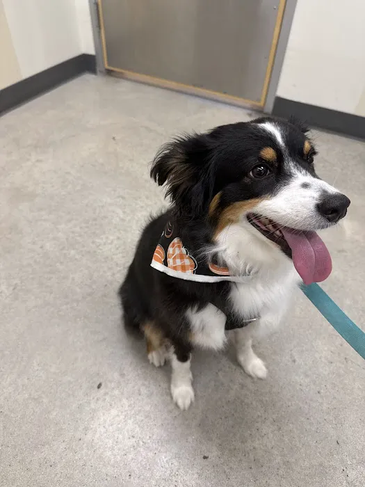 Vetco Total Care Animal Hospital 12