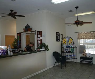 Ark Animal Hospital