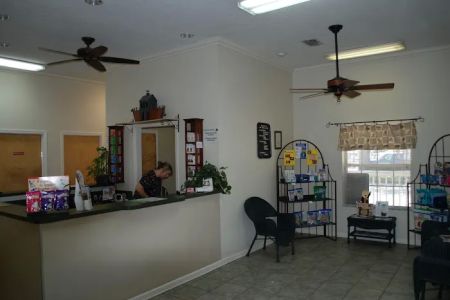 Ark Animal Hospital