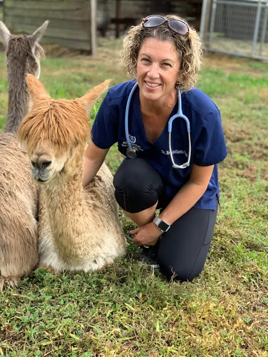 Atlantic Veterinary Hospital 1
