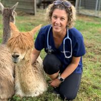 Atlantic Veterinary Hospital ico