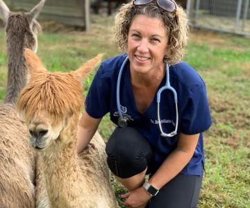 Atlantic Veterinary Hospital