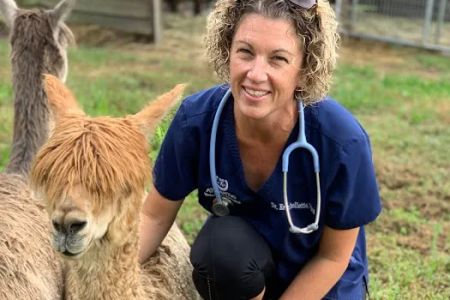 Atlantic Veterinary Hospital