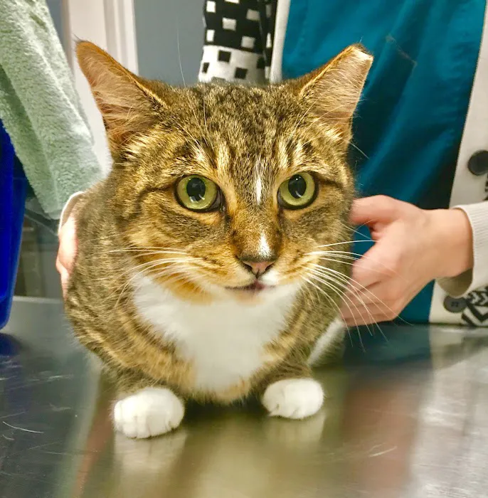 Durbin Creek Animal Hospital 6