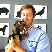 Durbin Creek Animal Hospital ico