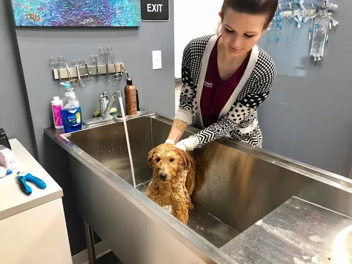 Durbin Creek Animal Hospital 8