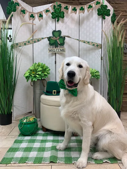 Pets R Family Veterinary Hospital 12