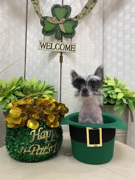 Pets R Family Veterinary Hospital 12