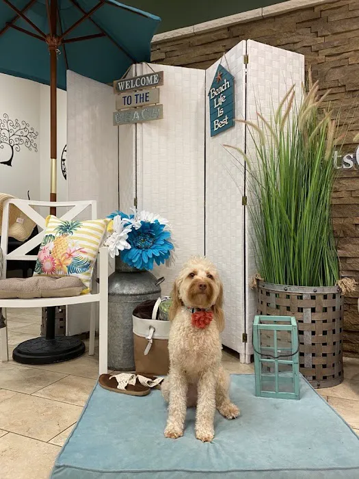 Pets R Family Veterinary Hospital 12