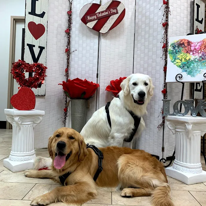 Pets R Family Veterinary Hospital 12