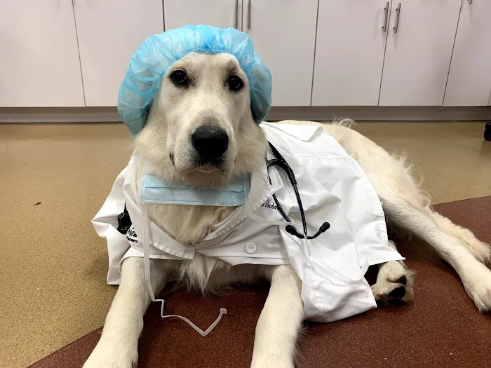 Pets R Family Veterinary Hospital 12