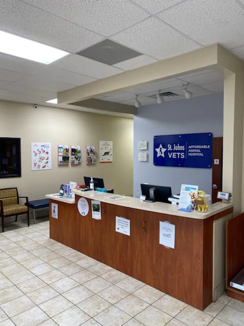 St. Johns Vets Affordable Animal Hospital 7