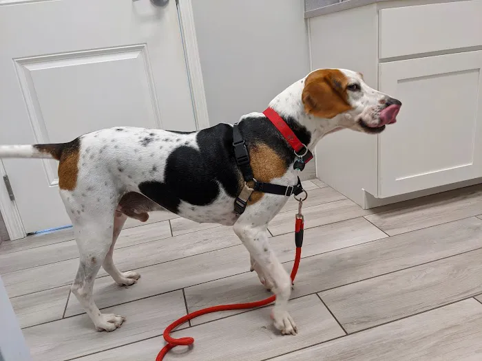 Birch Island Veterinary Center 12
