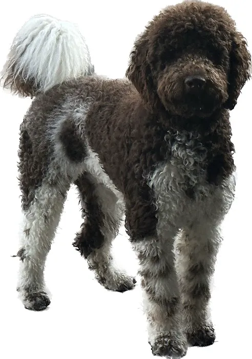 Sandbridge Veterinary Center 1
